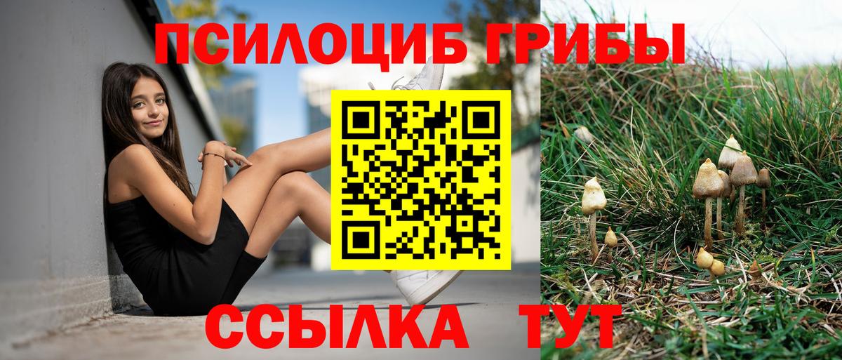 Анжеро-Судженск  Псилоцибиновые грибы Psilocybe  Вход с VPN  Псилоцибиновые грибы мицелий 